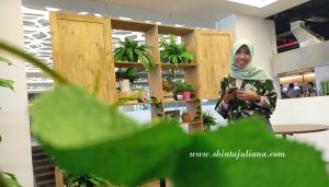 spot foto pasar pinuh greko