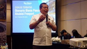 Skenario Bisnis Pasca Akuisisi Freeport