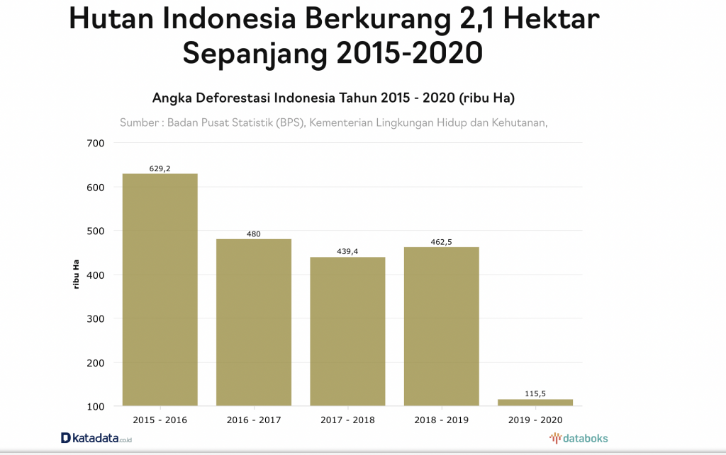 Fakta Hutan di Indonesia