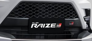 New Raize